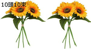  Ђ܂  1010 ԑ lHϗtA u[P ͂Ȃ ʐ^Be  a j v[g   LO Ԍ|p