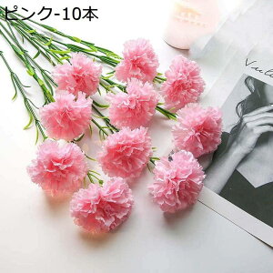 tFCNt[ J[l[V ԑ v[g 蕨 ̓ JXj  CeA   k A { Ȃ  CG[ 10{