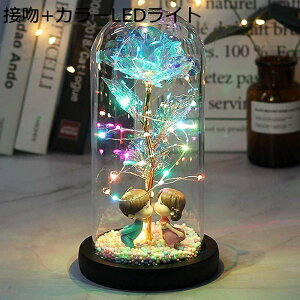 o  ͂Ȃ S[h[t[Y ÈłŌo ̑LEDXgOCg dr KN ԑ o^Cf[ ̓ NX}X VN a  (sN) j ޏ̂