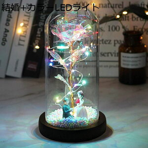 o  ͂Ȃ S[h[t[Y ÈłŌo ̑LEDXgOCg dr KN ԑ o^Cf[ ̓ NX}X VN a  (sN) j ޏ̂