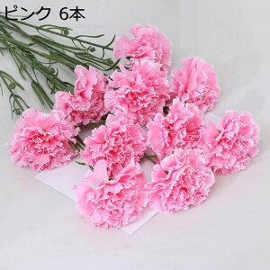  J[l[V 6{Zbg VN̑ ւ̉ bȂ ͂Ȃ lHϗtA ԕr} t[AWg  CeA ̓ hV̓ Mtg