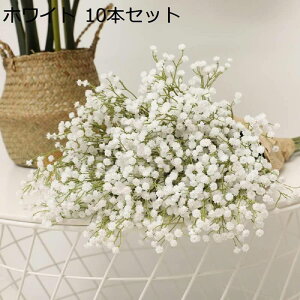 ݑ  10{Zbg 90  t̉  bsv u[P ͂Ȃ A[eBVt[ ԑ lHϗtA j   X (sN  10{Zbg)