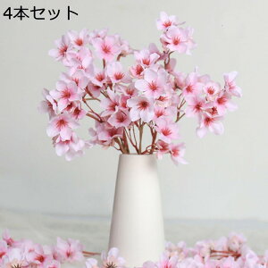  ԃu[P 4{Zbg lH ̉ ԑ t̉ }`bNȕ͋C VN̉ ͂Ȃ Ԍ   ԗ ̓  p[eB[ Be