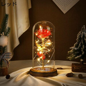  KXh[ ͂Ȃ o^C v[g  v[g bL[Y o^C   LEDCgt  CeA {bNXt   胉Cg v