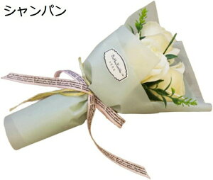 \[vt[ ԑ 3  ͂Ȃ o u[P Ǝ ̈  v[g ̓ o^Cf[ CeA NX}X (Vp) a  hV̓ ސE t[