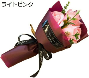 \[vt[ ԑ 3  ͂Ȃ o u[P Ǝ ̈  v[g ̓ o^Cf[ CeA NX}X (Vp) a  hV̓ ސE t[