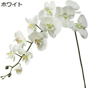  Ӓ   ͂Ȃ 110cm { ̓  a o[Xf[ j v[g Mtg ItBX  JXj 蕨 Be Lb`  (zCg) p