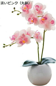 ~j Ӓ  A CeA lH ϗtA tFCN hV̓ a (zCgi۔j)