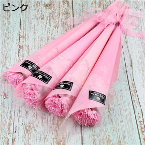 ̓J[l[Vԑ ̓ J[l[V \[vt[ Ό̉ ͂Ȃ o^Cf[ v[g bȂ ͂Ȃ lHϗtA ԕr} t[AWg 