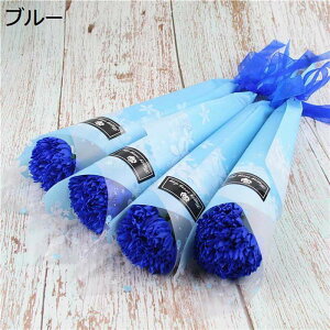 ̓J[l[Vԑ ̓ J[l[V \[vt[ Ό̉ ͂Ȃ o^Cf[ v[g bȂ ͂Ȃ lHϗtA ԕr} t[AWg 