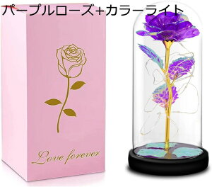 ͂Ȃ o LEDCg dr S[h[Y KN ԑ t[Cg t[Mtg o^Cf[ ̓ a LO NX}X j (p[v[Y+J[