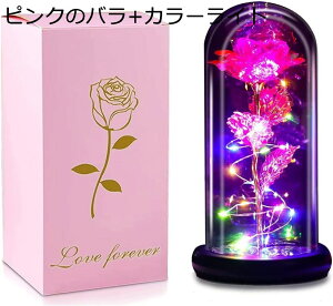 ͂Ȃ o LEDCg dr S[h[Y KN ԑ t[Cg t[Mtg o^Cf[ ̓ a LO NX}X j (p[v[Y+J[