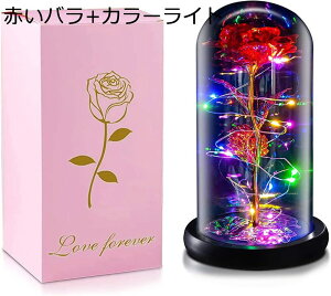 ͂Ȃ o LEDCg dr S[h[Y KN ԑ t[Cg t[Mtg o^Cf[ ̓ a LO NX}X j (p[v[Y+J[