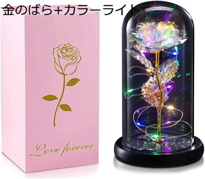 ͂Ȃ o LEDCg dr S[h[Y KN ԑ t[Cg t[Mtg o^Cf[ ̓ a LO NX}X j (p[v[Y+J[