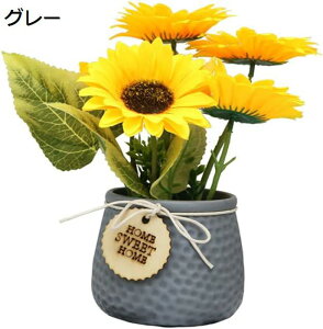 Ђ܂  lHϗtA Ђ܂ A Ԕ Ђ܂̉ԑ   ̓Mtg ̓ v[gBe j CeA  (O[)