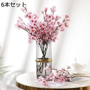   6{Zbg  t̉  VN ̉ ͂Ȃ ԑ lHϗtA t[AWg ʐ^Be JXj  40cm/{   a