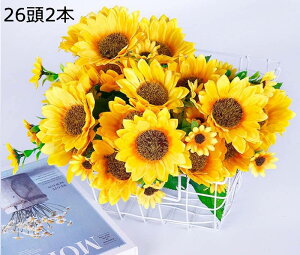 Ђ܂  ԑ lHϗtA u[P ͂Ȃ VN INS ʐ^Be j v[g CeA   ɓKp iX (262{)