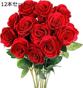  o tFCNou[P 12{Zbg [Y  KN ԏ ͂Ȃ }`bNȗے a   Zbg ̓ Mtg a o^Cf[