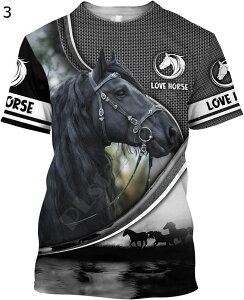 3dvgtVc Y tVc  n   ێ _炩 Snǂ   JWA ? ʋC z 傫TCY  gbvX Jbg\[ jp Xg[g 