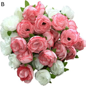 KN o  50 Zbg ԕ ̂  Bep  PF 2F 3F 3cm