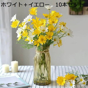  ԑ fCW[ 10{Zbg 50։ K[ff[W[ e lHϗtA ̓Mtg t̏ ͂Ȃ VN  ʐ^Be     j v[g