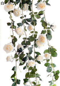 o K[h  CeA VNt[ XbO  p[eB[ (sN) 1{