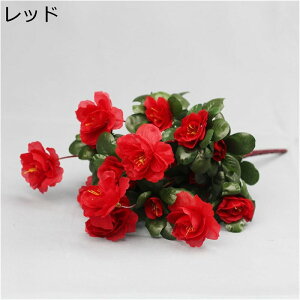  lHccW̉7tH[NAUAu[P̉ԐԂỦԌ̃K[fƂ̃rO[[p[eB[̑