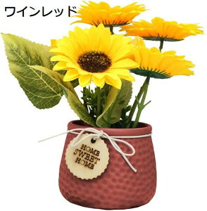 Ђ܂  lHϗtA Ђ܂ A Ԕ Ђ܂̉ԑ   ̓Mtg ̓ v[gBe j CeA  (O[)