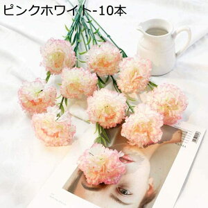 tFCNt[ J[l[V ԑ v[g 蕨 ̓ JXj  CeA   k A { Ȃ  CG[ 10{