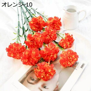 tFCNt[ J[l[V ԑ v[g 蕨 ̓ JXj  CeA   k A { Ȃ  CG[ 10{