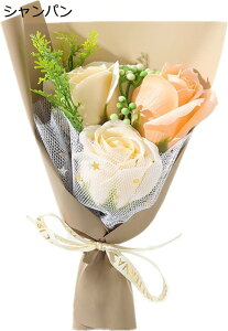 \[vt[ oԑ 3 ~j[Yu[P ̓Mtg Ό̉  ͂Ȃ o^Cf[ v[g a j LO Ǝ ސE w 搶̓ Mtg 