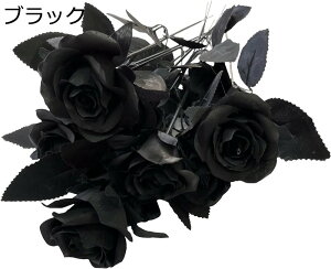  CeA o ԑ u[P Zbg ϗtA   Bep  KN KN (ubN)