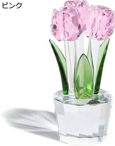 sNNX^̉ `[bv K9 NX^ KXt[ u NX^RNV NX^  u[P I[ig `[bvMtg p LO  o