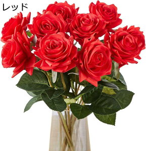  o [Y KN AW 10{Zbg ԁEϗtAEt  p[eB[ lX Cxg  (bh)