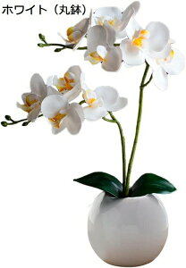 ~j Ӓ  A CeA lH ϗtA tFCN hV̓ a (zCgi۔j)