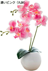 ~j Ӓ  A CeA lH ϗtA tFCN hV̓ a (zCgi۔j)