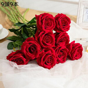  o  9{Zbg  ԑ  CeA A[gt[  u[P KN ԏ o^Cf[ ̓ a Q  K[fjO ItBX rO Mtg }`b