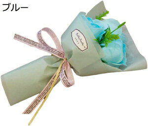 \[vt[ ԑ 3  ͂Ȃ o u[P Ǝ ̈  v[g ̓ o^Cf[ CeA NX}X (Vp) a  hV̓ ސE t[