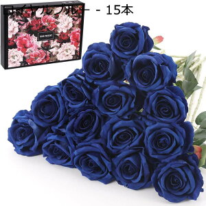 15{ lH o tl KN tFCN[Y   t[ ԑ a ̓ w   z[ 15{) Mtg -  K[f  (CG[ p[eB[ ItBX