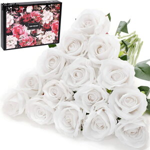 15{ lH o tl KN tFCN[Y   t[ ԑ a ̓ w   z[ 15{) Mtg -  K[f  (CG[ p[eB[ ItBX