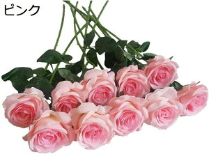  o [Y KN AW 10{ZbgCeA { A ꂢ  t[AW ͂Ȃ  ] ƒ   o^Cf[ v[g v