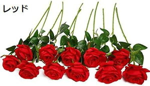  o [Y KN AW 10{ZbgCeA { A ꂢ  t[AW ͂Ȃ  ] ƒ   o^Cf[ v[g v