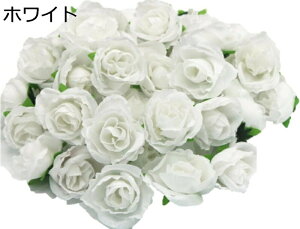 o  50 3cm u[P [Y KN   (CG[)