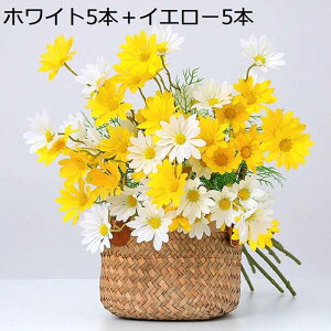 fCW[ ԃu[P 10{Zbg 5։/{ e ͂Ȃԑ J~[ VN lHϗtA j ԑ tFCNt[  JXj CeA  Mtg ʐ^