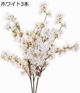   3{ 100cm t  A[eBtBVt[ 200̉ԂƂڂ tࣖ  i J[ ȂL΂ (sN3{)