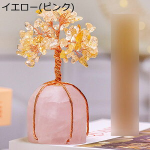  VR ^̐ VR NX^ sN  ̂Ȃ u p[Xg[ VR  N J^ K^ ^ N^ d^ ^ ^ ɐF ґz 