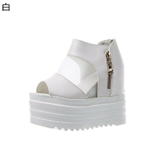 bV V[gu[c T_u[c I[vgD fB[X  ^bN WbvAbv ėp  vbgtH[ 5cmCq[ gAbv ZNV[ ϋv h 芴 r