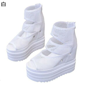 T_u[c 6cmT_ bV I[vgD fB[X EFbWq[ 6cmCq[ V[gu[c ZC ău[c t@Xi[ r  ʋC ɂ  ig