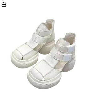 T_u[c U[ ؂ւ {v bXgbv V[gu[c ZC fB[X EhgD  vbgtH[ OfBG[^[ e T}[u[c r Vv  