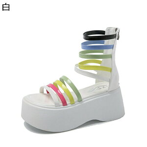 [} T_u[c ׂXgbv fB[X obNt@Xi[ ZC T}[u[c V[gu[c vbgtH[ nC {w~A t  ϖ gAbv  o